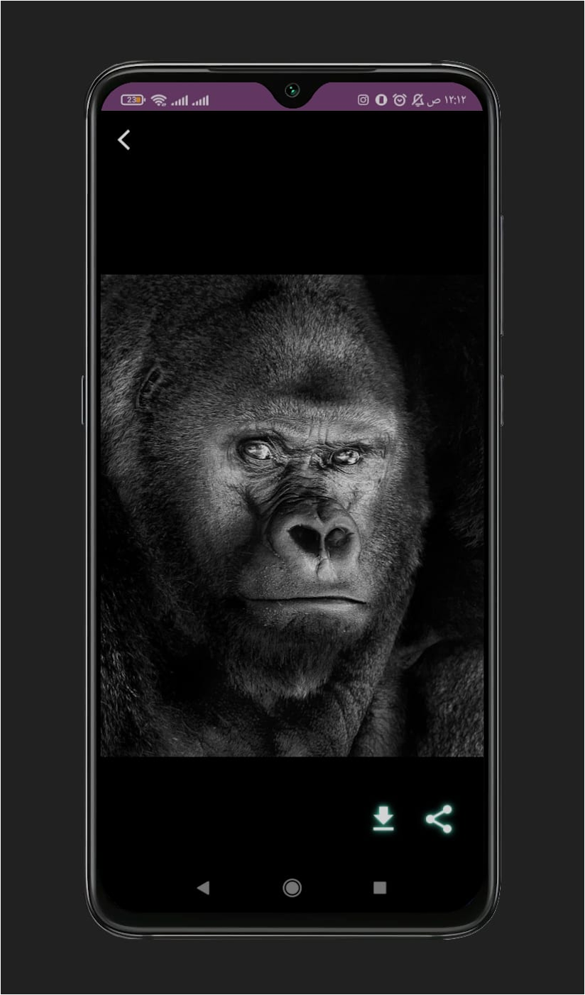 Gorilla Tag Wallpapers APK for Android Download