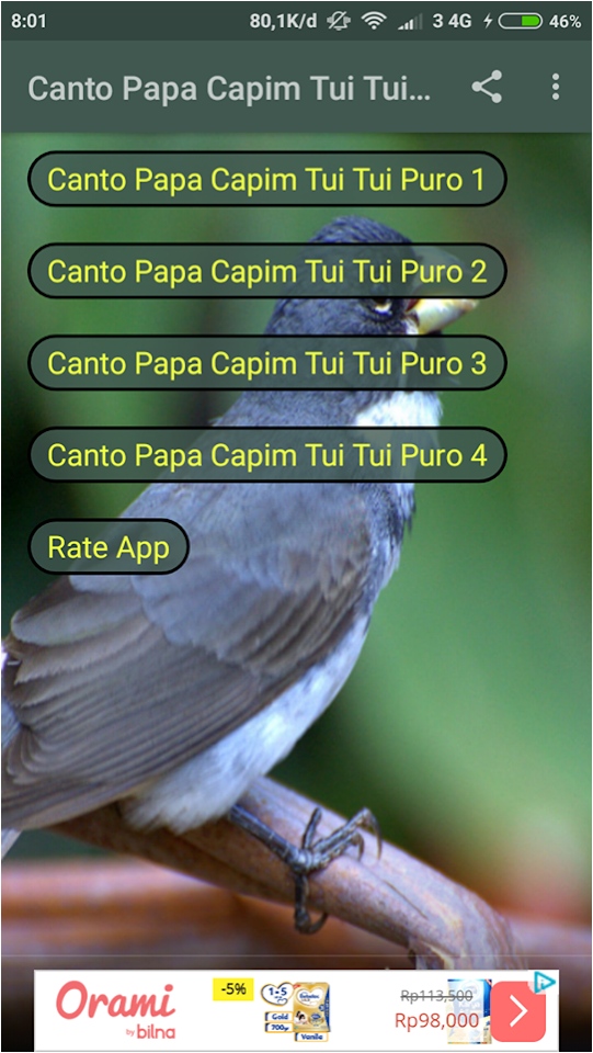 Canto Papa Capim Viviti: álbuns, músicas, playlists